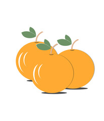 vector illustration of an orange fruit