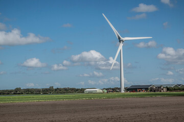 Fototapeta premium Weiden in Nord Holland