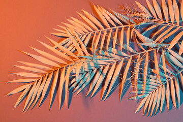 Pastel colored palm leaves