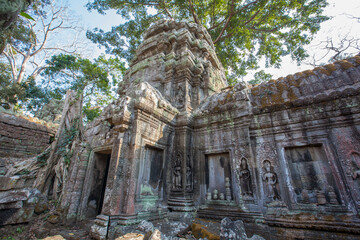Obraz premium Ruins Ta Prohm temple and Banyan Tree Roots, Angkor Wat complex, Siem Reap, Cambodia.