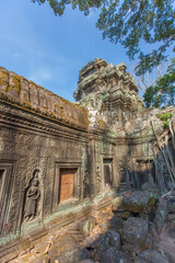 Fototapeta premium Ruins Ta Prohm temple and Banyan Tree Roots, Angkor Wat complex, Siem Reap, Cambodia.