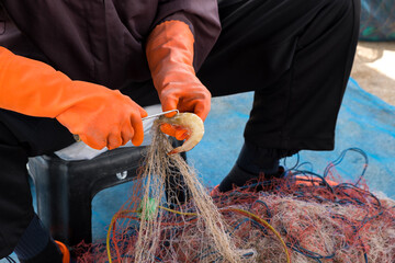 fisherman has work remove shrimp from the net.