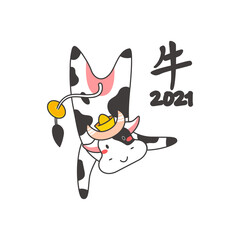 Chinese new year of white ox 2021 zodiac - vector bulls or cows, flat cartoon animals for holiday cards, posters and home decorations, cute characters with golden coins for luck - isolated on white