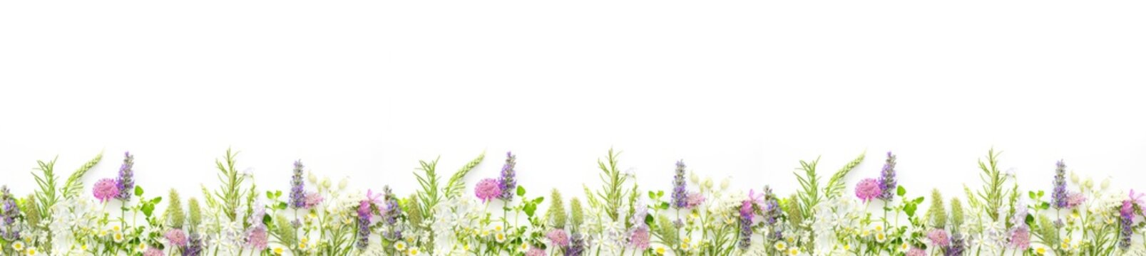 Composition of wild flowers and aromatic herbs on a white background.