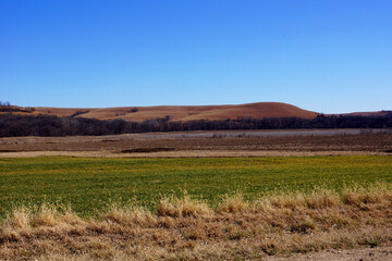 Kansas hills behind a sprouting wheat field in early spring.