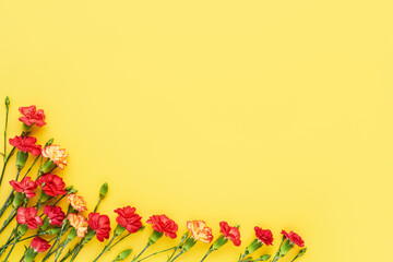 Border of red carnation flowers on yellow background. Mother's day, Valentines Day, Birthday celebration concept. Copy space, top view