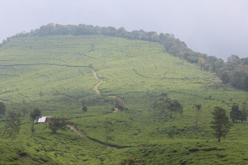 landscape with mountains and clouds
