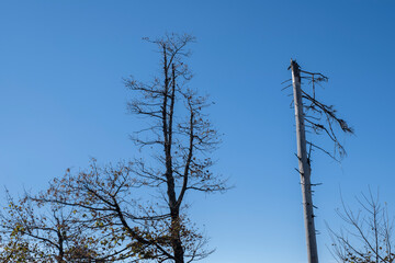 Landschaft im Schwarzwald