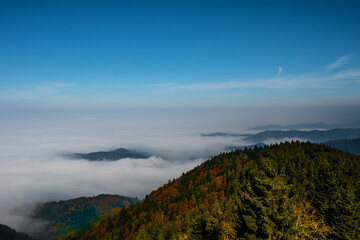 Landschaft im Schwarzwald