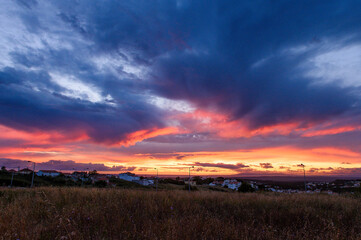 Dry grass sky summer sunset. Film grain.