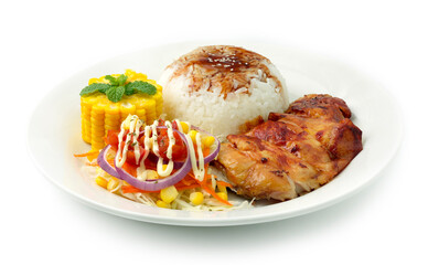 Grilled Chicken with Rice ontop Teriyaki Sauce