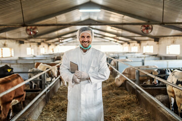 Young Caucasian unshaven veterinarian in protective uniform standing in barn with tablet under...