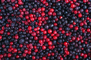 Iced ripe sweet black and red currant background