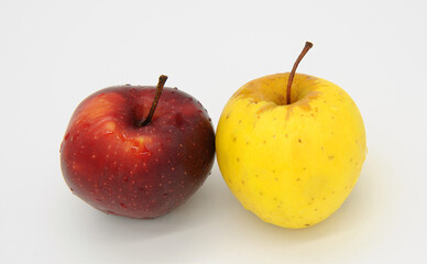 wet red and yellow apples on a white background