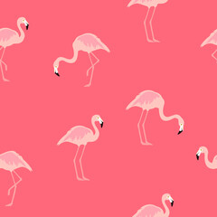 Vector illustration seamless pattern with pink flamingo. Exotic bird
