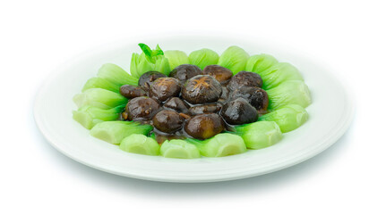 Chinese Cabbage with Oyster Sauce (Bok Choy)
