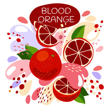 Vector Illustration Of An Organic Fruit Drink. Ripe Red Blood Orange Fruits With Splash Of Bright Fresh Blood Orange Juice Background. Eco Concept For A Natural Fruit Smoothie Label.