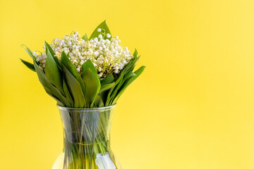 Delicate bouquet of white lilies of the valley in green leaves in a glass vase on a bright yellow background with copy space