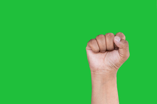 Hand of an Asian man forms Fist isolated on a green screen background.