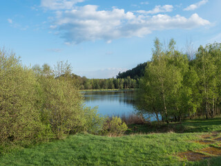 Fototapeta premium view on calm water of forest lake, fish pond Kunraticky rybnik with birch and spruce trees growing along the shore and clear blue sky in golden sun light. Nature background. Spring landscape