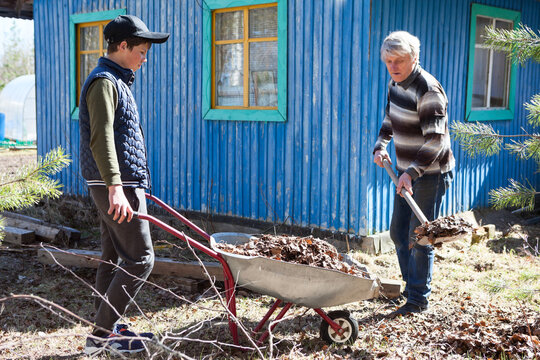 Father and son working together, gardener loading dried leaves in wheelbarrow from ground with shovel - Powered by Adobe
