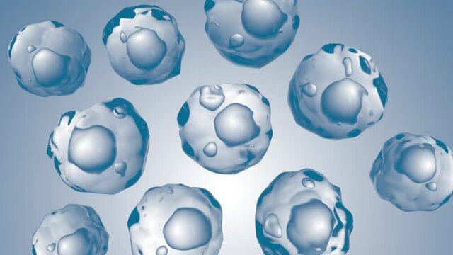 3D rendering of Multicellular water shortage state to water replenishment state