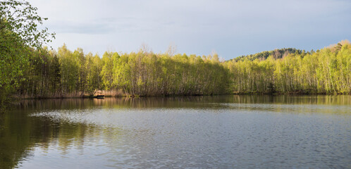 Fototapeta na wymiar Panoramic view on calm water of forest lake, fish pond Kunraticky rybnik with birch and spruce trees growing along the shore and clear blue sky in golden sun light. Nature background. Spring landscape