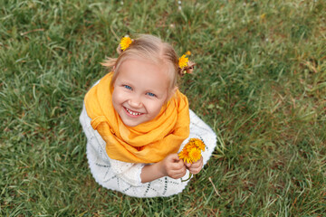  Blonde blue-eyed little girl with two yellow dandelions in her hair and  bouquet of yellow dandelions in her hands looks at the camera and smiles. 