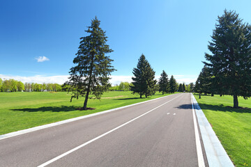 Asphalt road in park along green meadow