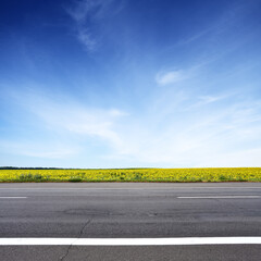 Road and sun flowers field, side view