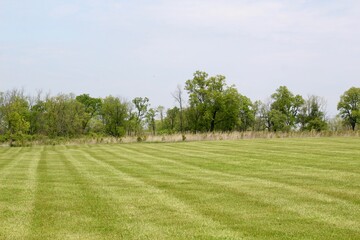 The green grass field in the country on a sunny day.