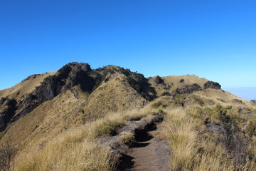 path to the mountains