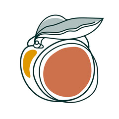 Line drawing peach. Modern continuous line art, aesthetic contour. Vector illustration