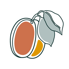 Line drawing apricot. Modern continuous line art, aesthetic contour. Vector illustration