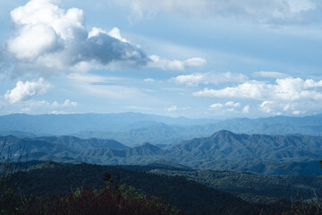 Naklejka premium Mountains and green trees during the day
