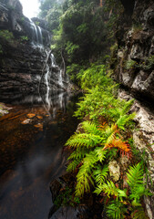 Kanangra boyd waterfalls in Blue mountains national park area.