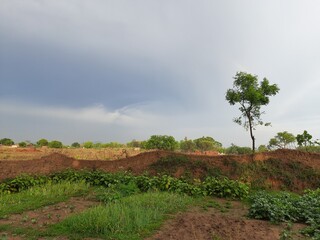Dark clouds cloud and strong winds before the rain.  Overcast sky before Rain is coming. Dark clouds sky before storm background. 
Moving rainy clouds, cloudy sky, grey sky, dark trees. 