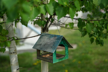 
small green birdhouse hanging on a tree branch