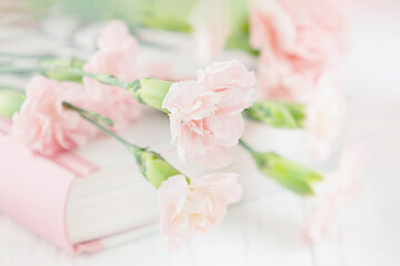 Fototapeta na wymiar Soft focus of pink carnation flowers and book, pastel background