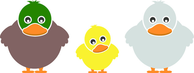 Set of Farm Animal - Duck, Vector illustration