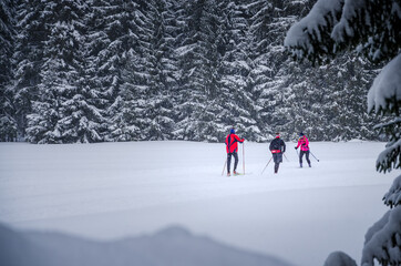 Sumava, The Czech Republic - Active winter holidays in Sumava