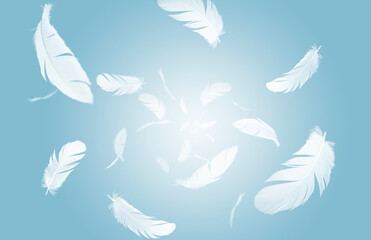Group of a white bird feathers floating in the air. feather abstract background.