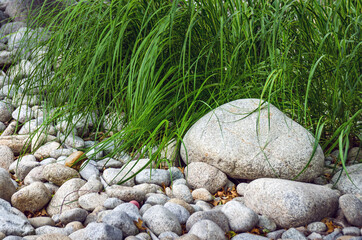Stone pebbles texture with grass