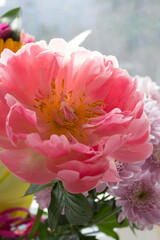 Pink peony flower in bouquet, close-up. Card, invitation concept, copy space, vertical format