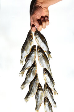 A manâ€™s hand holds a binder of dry fish. Dried fish is an appetizer for beer, this fish is found in the Black and Azov Sea.