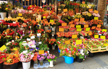 Beautiful bright bouquets of flowers on the street for sale. Munich, Germany.