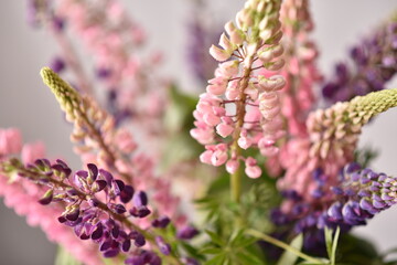 delicate flowers in light pastel colors