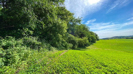 farm field in wisconsin blue skies green fields