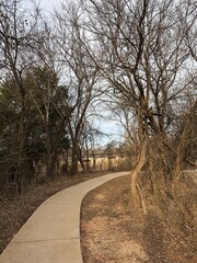 Hiking pathway in the woods with leafless trees and brown grass in winter