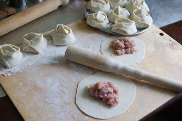 Handmade dumplings process in the kitchen